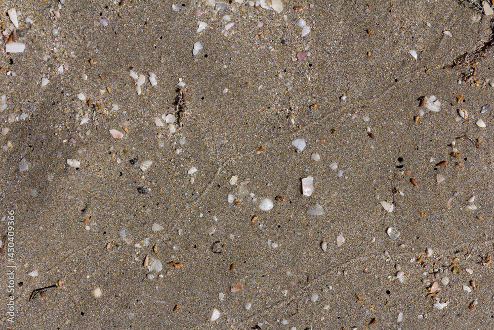 Texture background of the sand near the water on the beach Texture background of the sand near the water on the beach