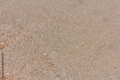 Texture background of the sand near the water on the beach