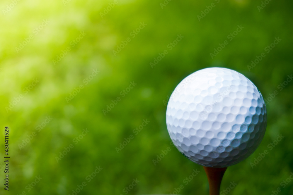 Green grass with golf ball close-up in soft focus at sunlight. Sport playground for golf club concept ,Golf ball on tee ready to be shot Green grass with golf ball close-up in soft focus at sunlight. Sport playground for golf club concept ,Golf ball on tee ready to be shot