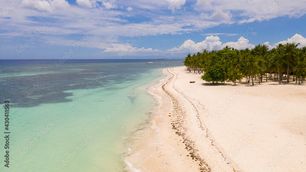 Aerial top view on sand beach,palm tree and ocean. Sandy beach and azure water. Panglao island, Bohol, Philippines.