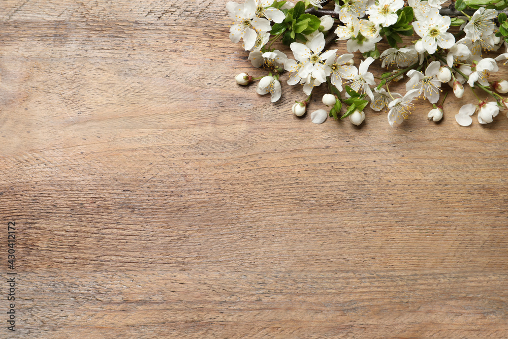 Blossoming spring tree branches as border on wooden background, flat lay. Space for text Blossoming spring tree branches as border on wooden background, flat lay. Space for text