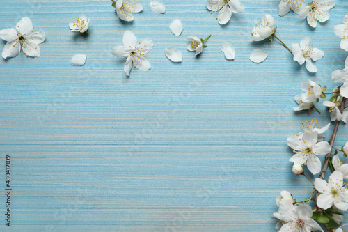 Blossoming spring tree branch and flowers as border on light blue wooden background  flat lay. Space for text