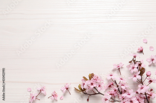 Beautiful spring tree blossoms as border on white wooden table, flat lay. Space for text