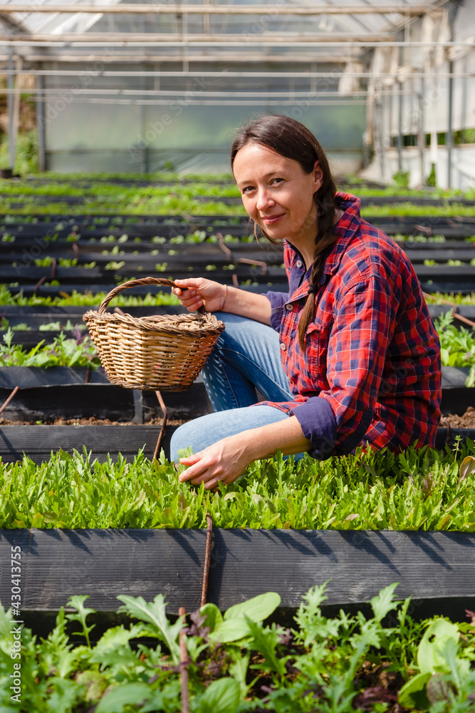 Natural female worker in nursery greenhouse on organic farm Natural female worker in nursery greenhouse on organic farm