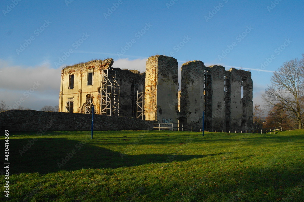 swarming royal castle in poland swarming royal castle in poland