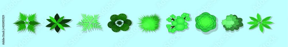set of plant top view cartoon icon design template with various models. vector illustration isolated on blue background