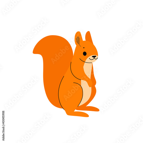 Cute squirrel - cartoon animal character. Vector illustration in flat style isolated on gray background.