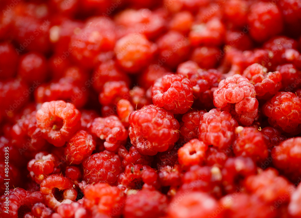 Raspberries background. Fresh red berries of ripe raspberries Raspberries background. Fresh red berries of ripe raspberries