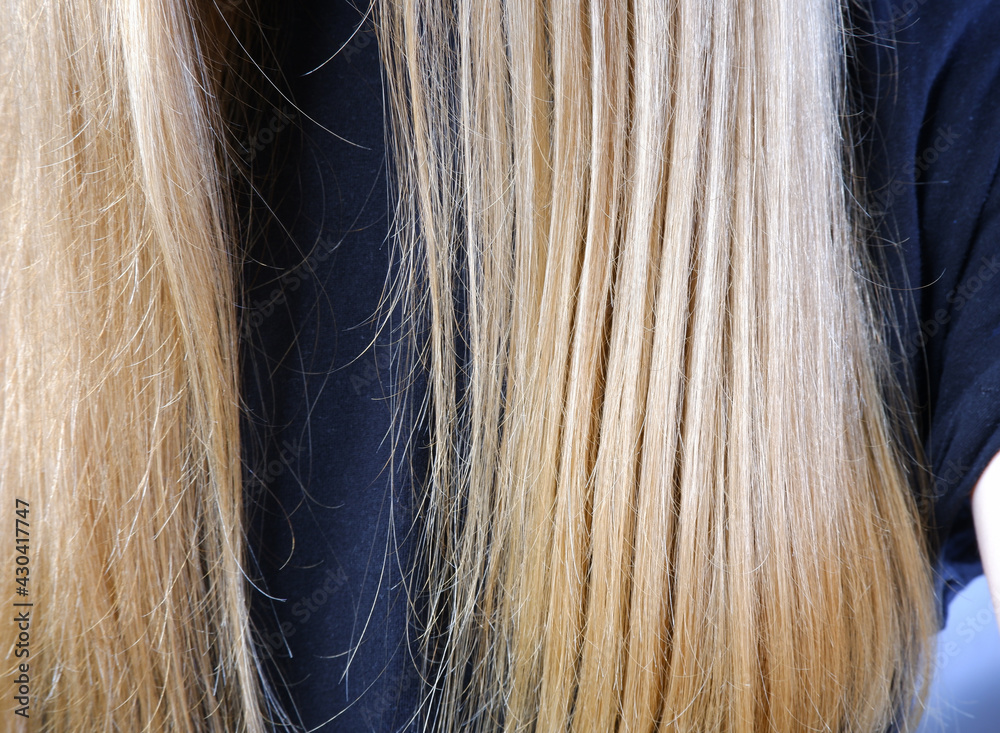 Fototapeta premium Hair. Split hair. Care. Hair care.