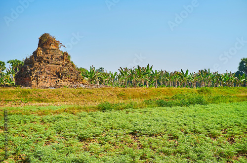 The ruins of the shrine, Ava, Myanmar photo