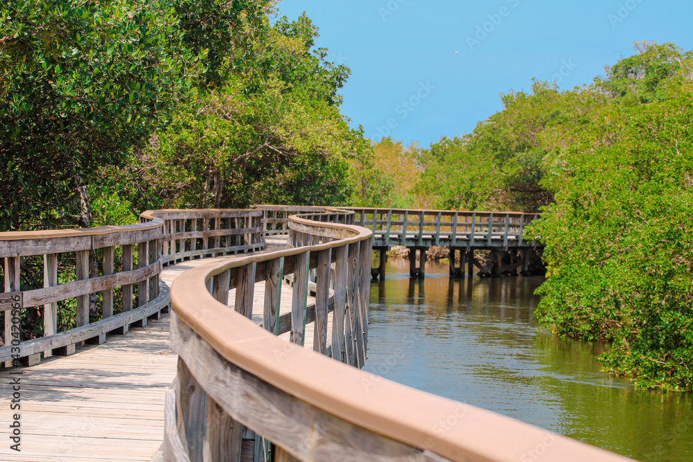 Curvy Wooden Boardwalk over the Water through the Park