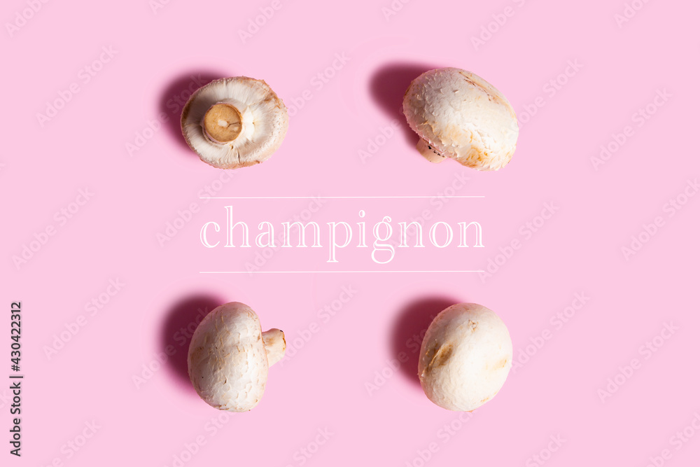 infographic of a champignon mushroom on pink background infographic of a champignon mushroom on pink background