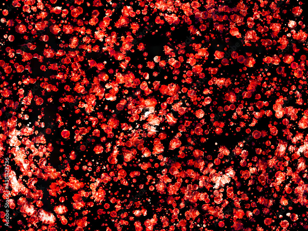 geometric pattern geometric pattern