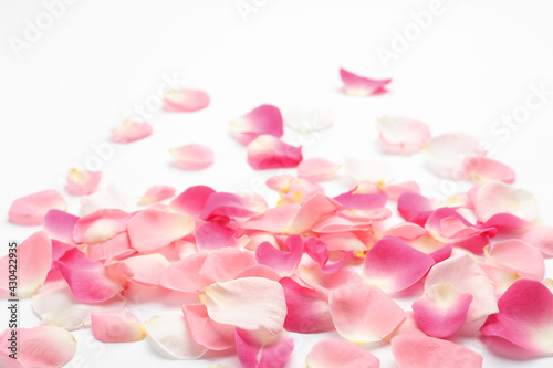 Pile of beautiful petals on white background