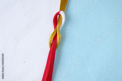 和紙と紅白と金色の水引のデザイン（白と水色）
