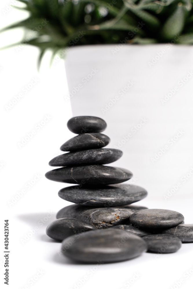 Close up of stacked black pebbles or zen stones and a white succulent flowerpot, isolated on white background. Harmony, balance and meditation, spa, massage, relax concept.
Close up of stacked black pebbles or zen stones and a white succulent flowerpot, isolated on white background. Harmony, balance and meditation, spa, massage, relax concept.