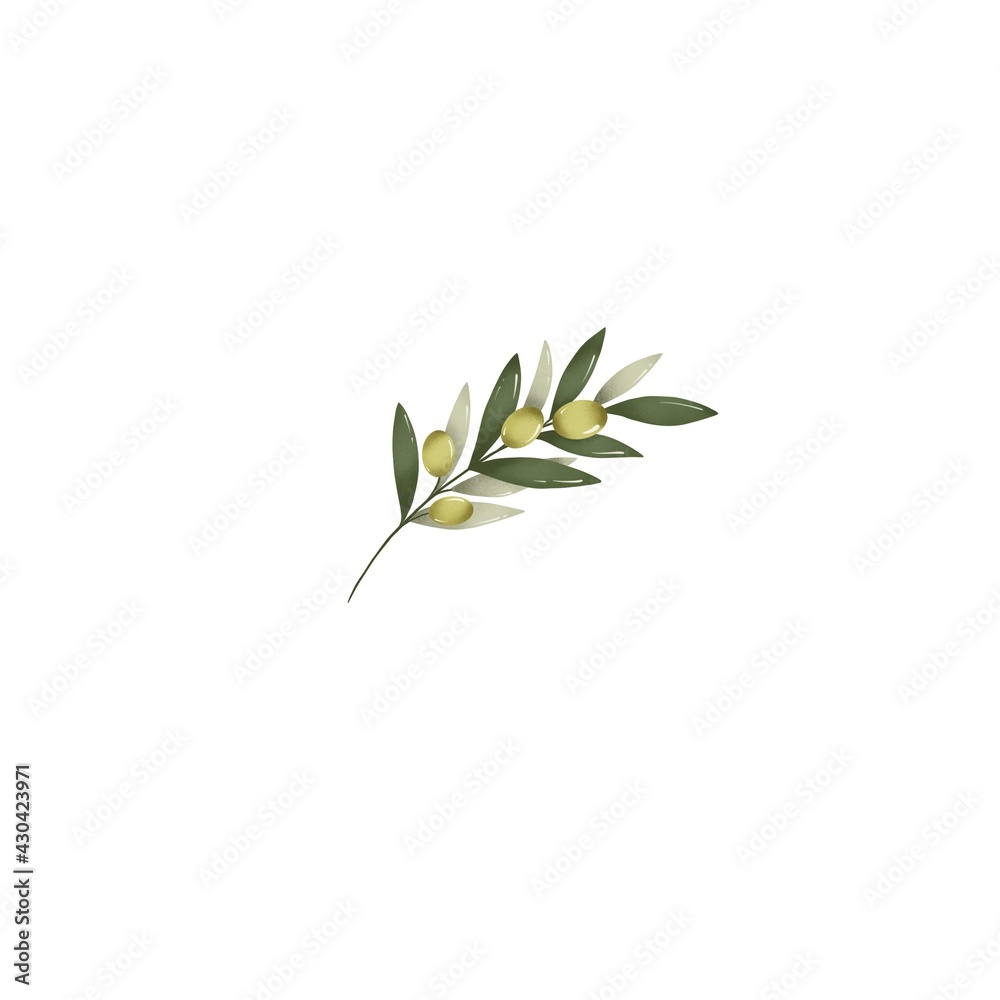Obraz premium illustration of a green olive branch on a white background
