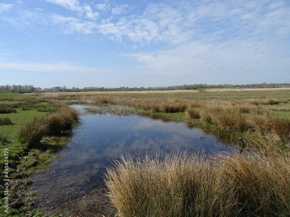 River, clouds and reeds