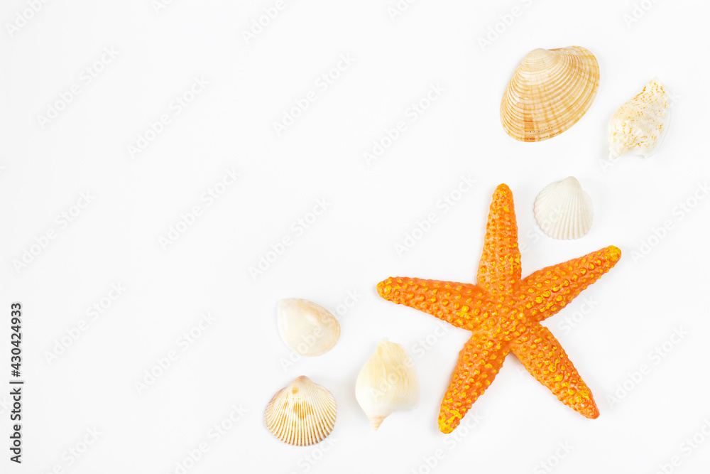 Orange starfish and seashells on white background Orange starfish and seashells on white background