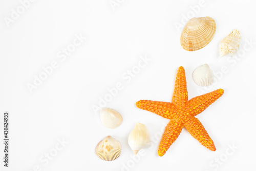 Orange starfish and seashells on white background