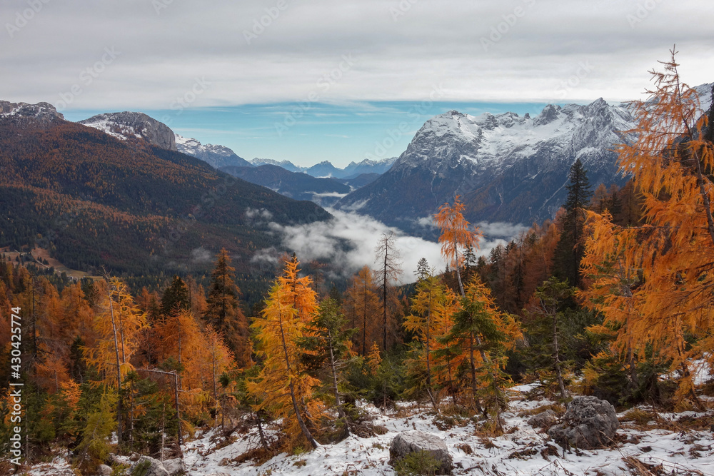 autumn forest with snow dolomites