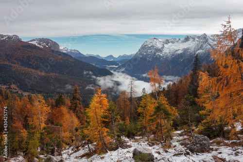 autumn forest with snow dolomites