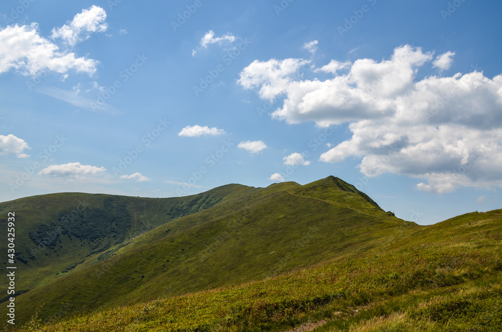 Beautiful nature scenery with green rolling hills and grassy meadows on Borzhava ridge, in summer. Carpathian mountains, Ukraine Beautiful nature scenery with green rolling hills and grassy meadows on Borzhava ridge, in summer. Carpathian mountains, Ukraine