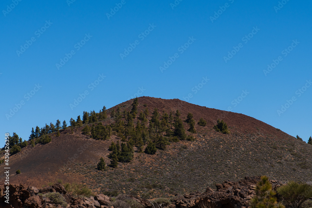 Paisaje de una montaña con pinos en el Parque Nacional del Teide