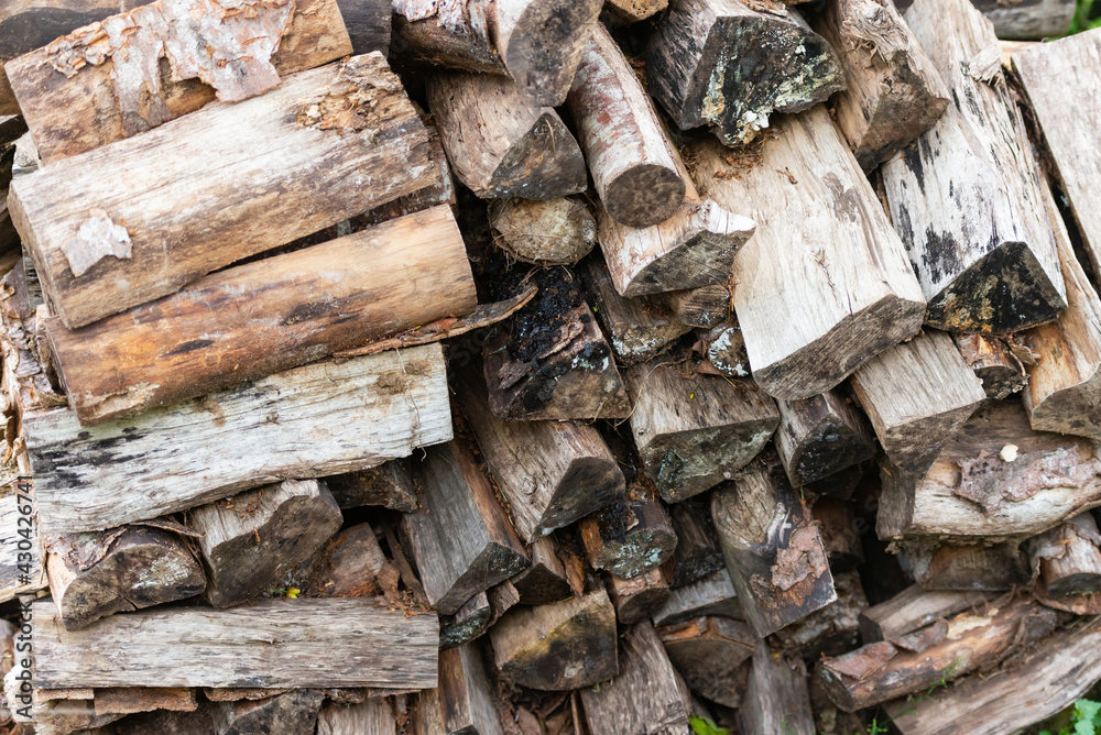 Pallet of old firewood. Firewood that has been lying for a long time and mold has appeared. Pallet of old firewood. Firewood that has been lying for a long time and mold has appeared.