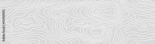 Seamless wooden gray monochrome pattern. Wood grain texture. Dense lines. Abstract white striped background. Vector illustration