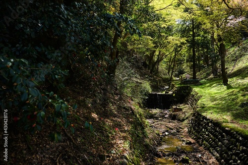 Small creek surrounded by green trees on Yoshinoyama  Mount Yoshino in Nara Prefecture -                               