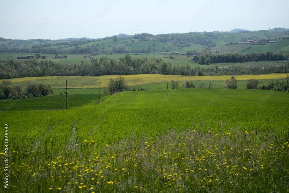 Hills near Piacenza. Spring, Flowers and Colours.
