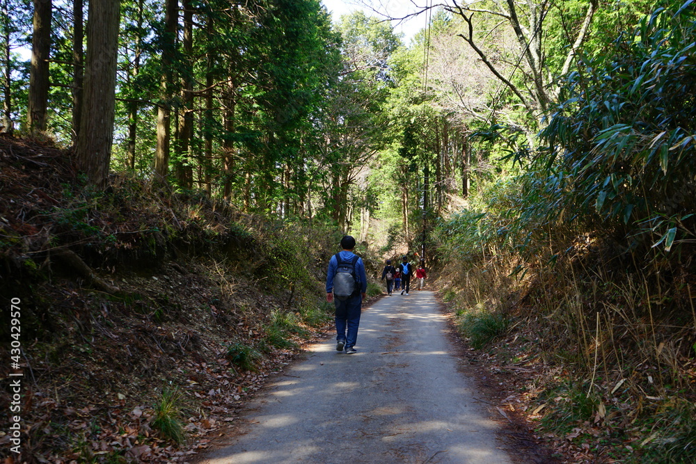 Man walking down trail path on Mount Yoshino in Nara Prefecture, Japan - 日本 奈良 吉野山 登山する男性