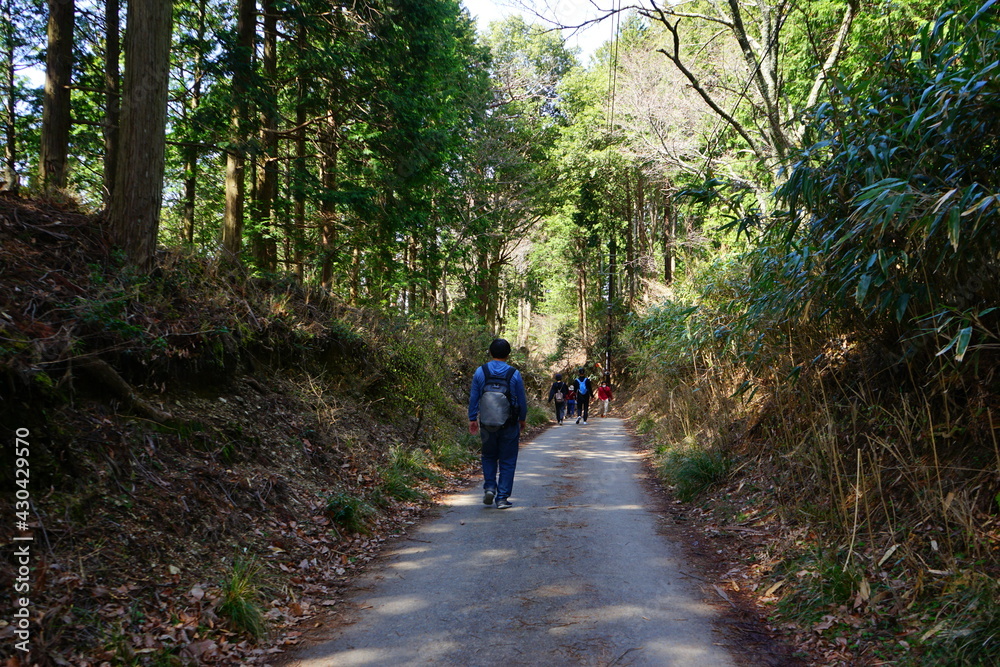 Man walking down trail path on Mount Yoshino in Nara Prefecture, Japan - 日本 奈良 吉野山 登山する男性 Man walking down trail path on Mount Yoshino in Nara Prefecture, Japan - 日本 奈良 吉野山 登山する男性