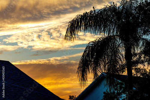 South Florida sunset over residence houses with silhouette of palm trees homes. Deep blue and orange sun low on horizon behind cirrus, not cumulus, cumulonimbus, nimbus, or stratus clouds in the sky.