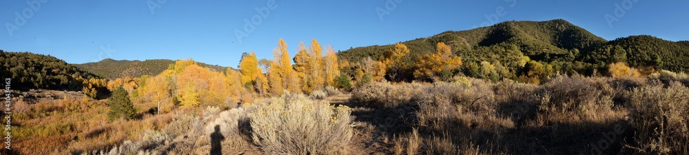 Fall colors at the Santa Fe Canyon Preserve, Santa Fe, New Mexico, USA