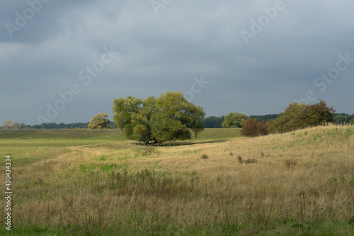 Nature landscape near the river Elbe and the german city Doemitz photo