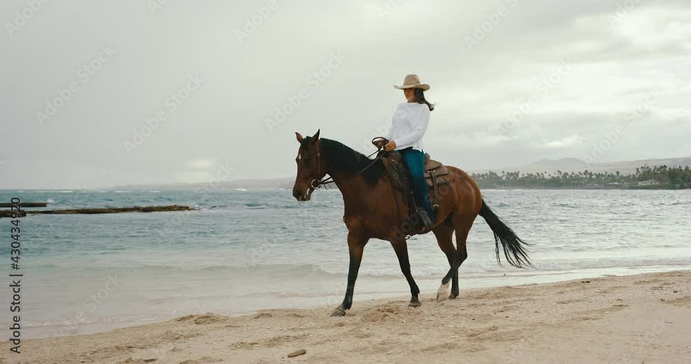 Horseback riding on the beach at sunrise, beautiful young woman riding majestic horse on the sand Horseback riding on the beach at sunrise, beautiful young woman riding majestic horse on the sand