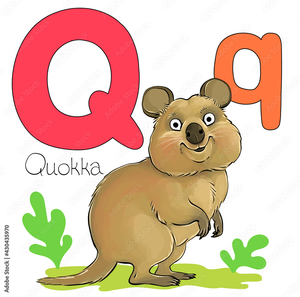 Vector illustration. Alphabet with animals. Large capital letter Q with