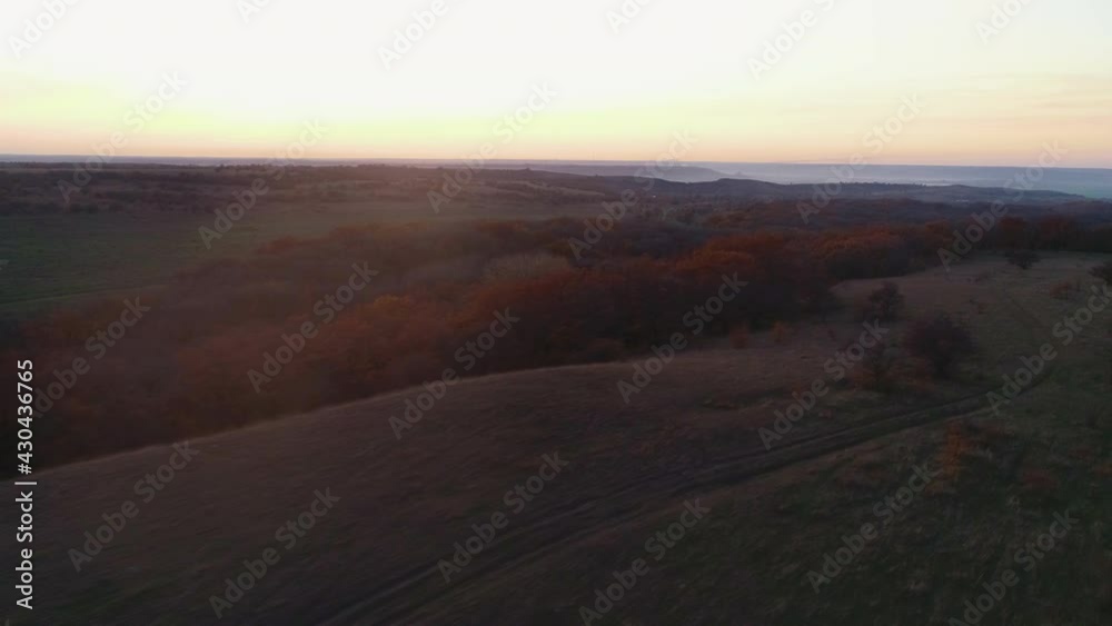 Flying over the sunset forest belt in autumn