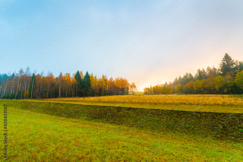 Obraz premium Autumn coniferous forest. Sunrise. Autumn foggy morning. Clear sky. Russia, Europe. Beautiful nature.