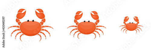 Crab characters three sizes set. Cute crabs family. Seafood collection. Vector illustration isolated on white.