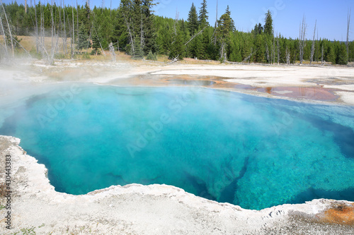 Geyser in Yellowstone National Park, Wyoming, USA