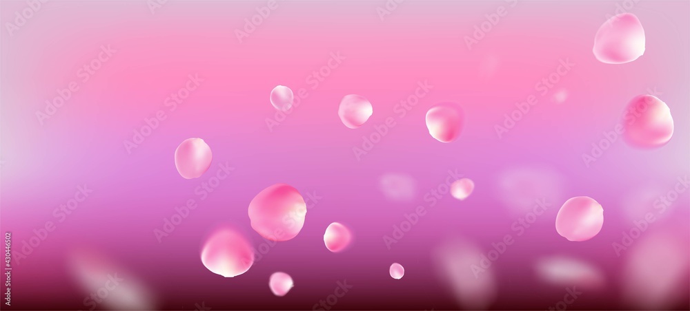 Rose Petals Falling Confetti. Blooming Cosmetics Ad Beautiful Flower Rose Petals Falling Confetti. Blooming Cosmetics Ad Beautiful Flower