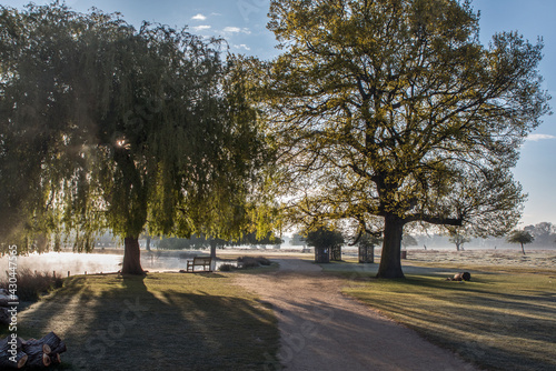 sMorning shadows