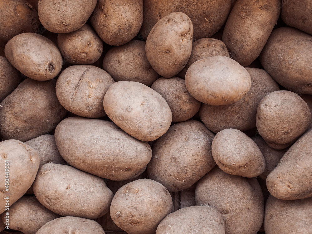 Monalisa potatoes filling the entire frame Monalisa potatoes filling the entire frame