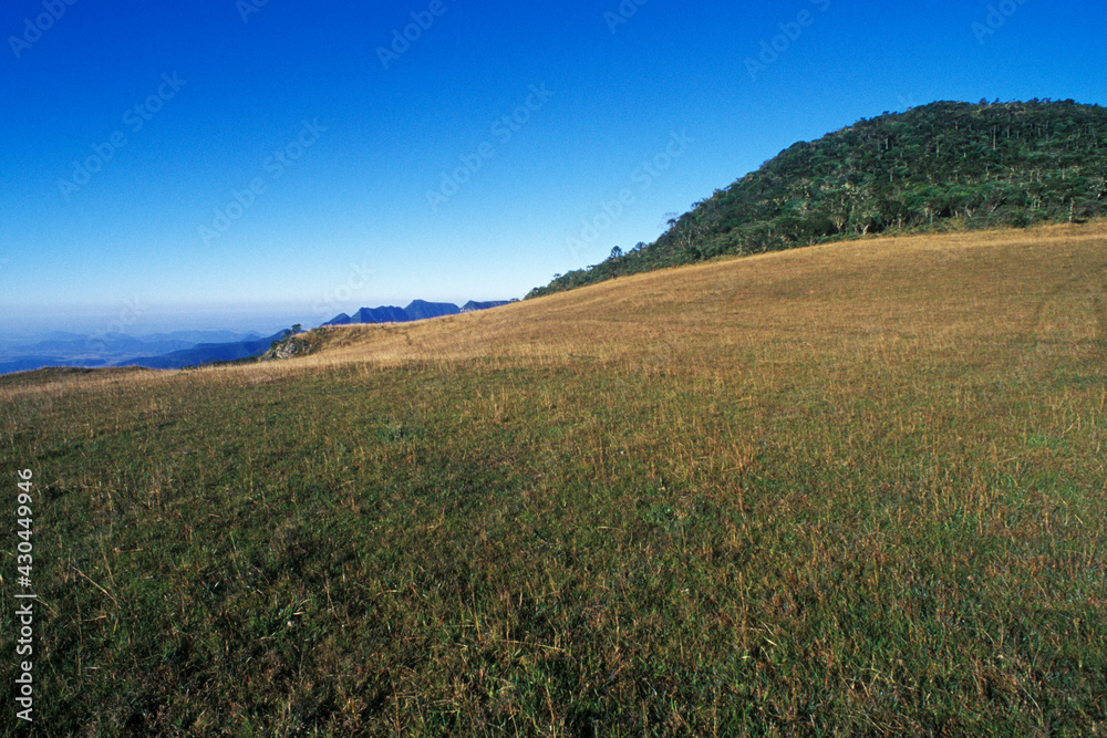 Monte Negro - ponto culminante do RS - Cânion Monte Negro - São José dos Ausentes - RS