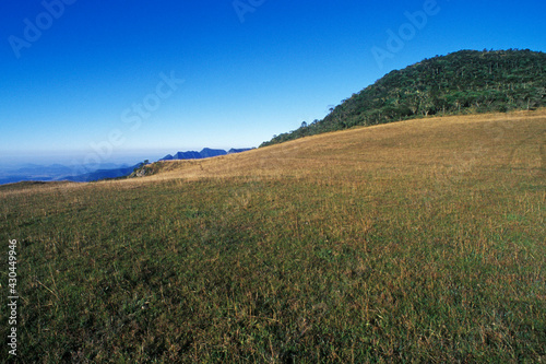Monte Negro - ponto culminante do RS - Cânion Monte Negro - São José dos Ausentes - RS