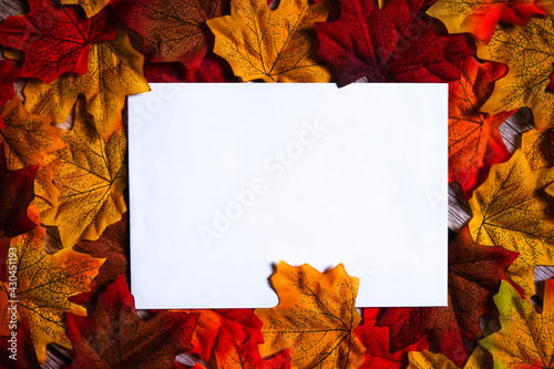 Blank white card surrounded by colorful maple leaves. Autumn & fall holiday theme. Happy thanksgiving day. Empty space for text. Copy space.