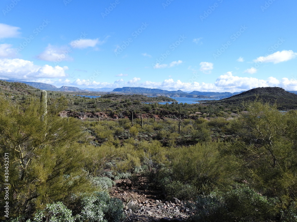 The beautiful scenery of the Sonoran Desert, with Lake Pleasant in the background, Peoria, Maricopa County, Arizona. The beautiful scenery of the Sonoran Desert, with Lake Pleasant in the background, Peoria, Maricopa County, Arizona.
